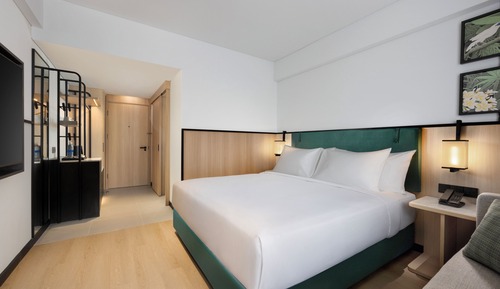 King Guest Room