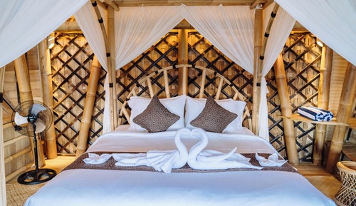 Room, Pool View