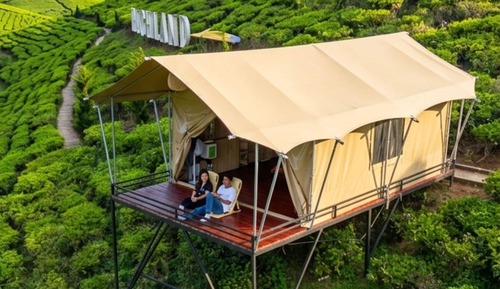 Glamping Azalea Double