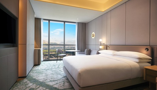 Room, 1 King Bed, Accessible