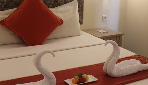 Superior Queen Room