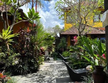 Double Room with Terrace