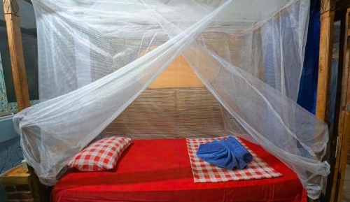 Single Room with Shared Bathroom