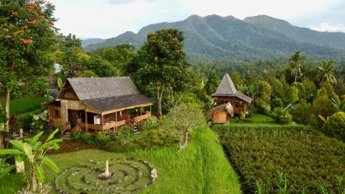 Triple Room with Mountain View