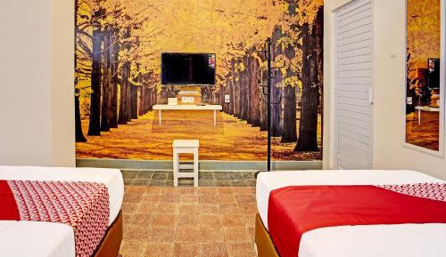 Delxue Twin Room