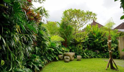 Double Room with Garden View