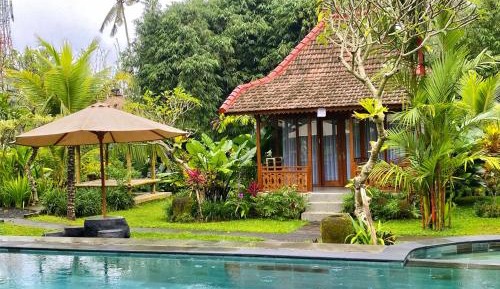 Premier Room with Pool View