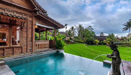 Rice Field View Private Pool Villa With Benefits