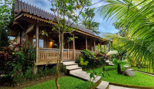 Rice Field View Superior Room With Benefits