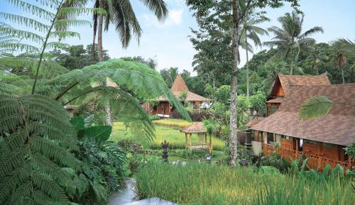 Two-Bedroom Garden View Pool Villa