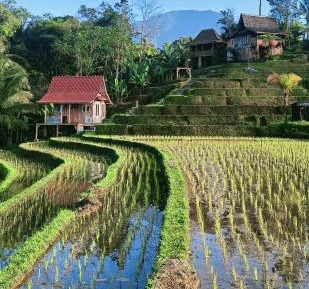 Bungalow with Garden View