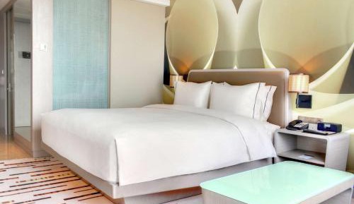King Guest Room