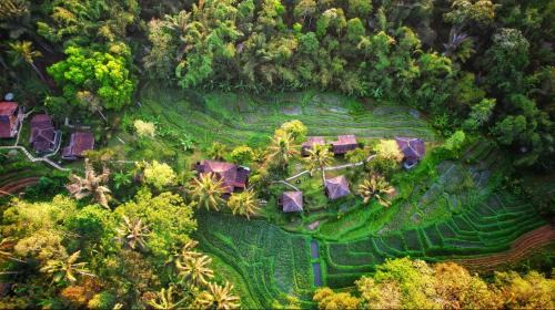 Double Room with Garden View