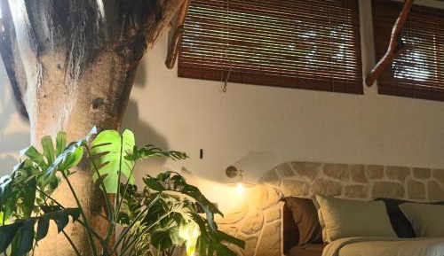 Tree Suite