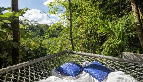 Honeymooner Rain Forest Jungle Suite with with One Time Complimentary Minibar 