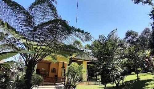 Standard Bungalow