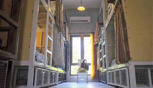 Bunk Bed in Female Dormitory Room with Shared Bathroom