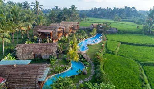 Suite Room with Exclusive Rice Field View