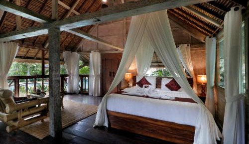 Suite Room with Jungle View