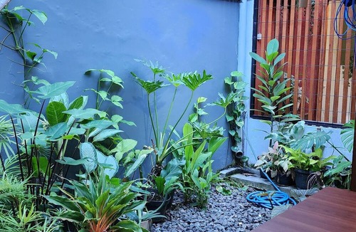 Klojen Hostel | Semeru Hostel Malang - Adults Only