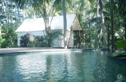 Petulu Hostel | Ubud Tropical - Hostel