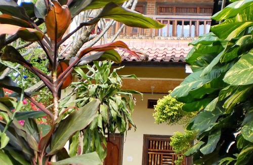 Ubud City-Centre House | Arjuna Homestay Ubud