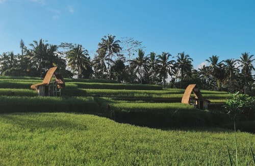 Sebatu Villa | Swaha Retreat & Eco Park Ubud
