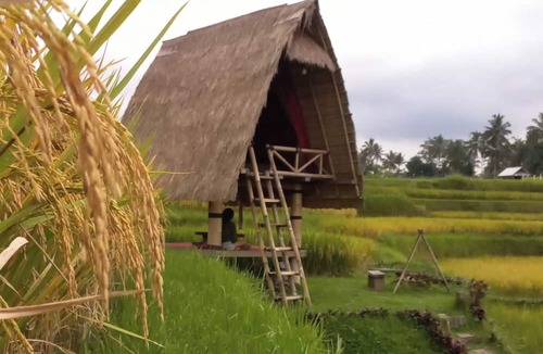 Sebatu Villa | Swaha Retreat & Eco Park Ubud
