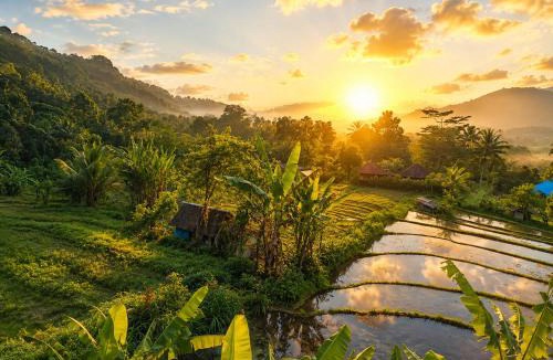 Sidemen House | Nyoman Sidemen Homestay
