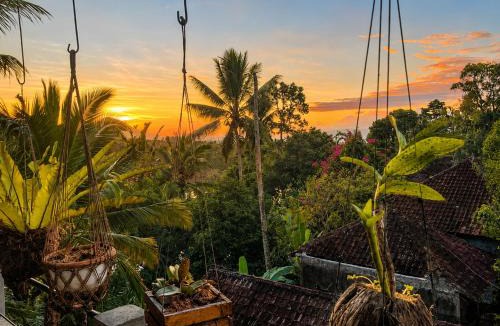 Penebel House | Buana Asti Homestay Retreat Batukaru