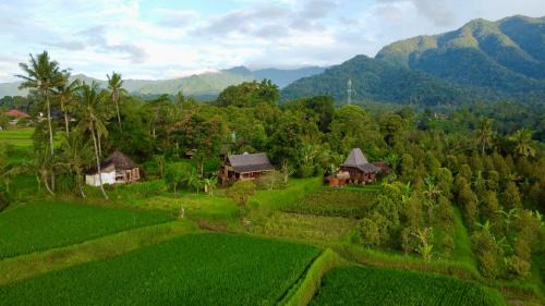 Sawan Hotel | Sunset Sala- Experience the REAL Bali