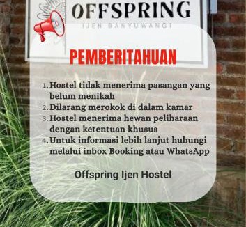Banyuwangi Hostel | Offspring Ijen Hostel Banyuwangi