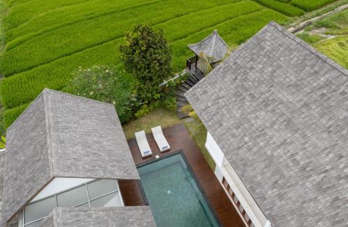 Munggu Villa | Floro Villa Canggu by Dhananjaya Hospitality