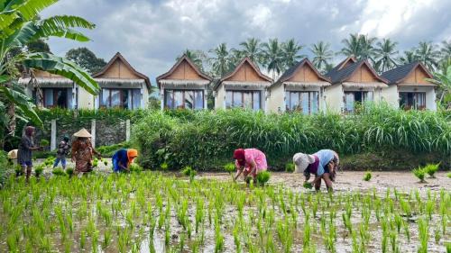 Tetebatu House | Rice Terrace Bungalows
