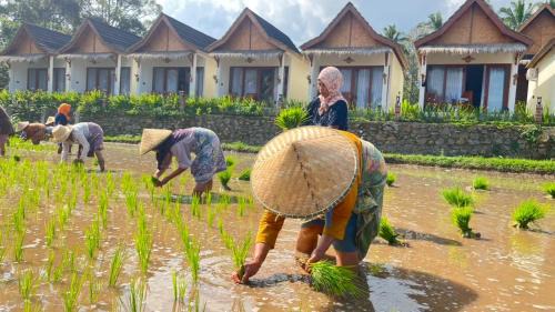 Tetebatu House | Rice Terrace Bungalows