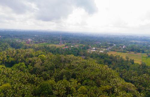 Pejeng Kawan Villa | Uma Labak Villa Ubud