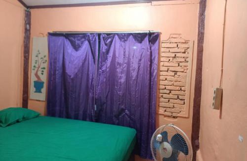 Bukit Lawang Hotel | Orangutan Tiger Sumatra Bukit Lawang Jungle Trekking and Private Transport When You Booking With Us