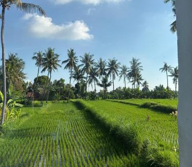 Buleleng House | DeepaVillaLovina