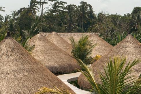 Pejeng Hostel | Lazy Lama Ubud