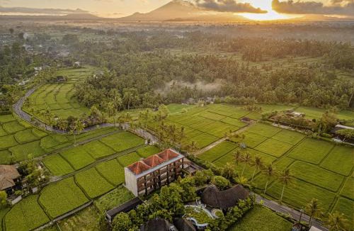 Pejeng Kawan Hotel | Paon Desa Ubud