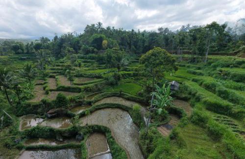 Kecamatan Sikur House | Bamboo Craft Homestay