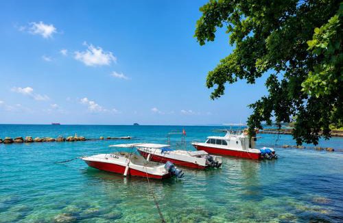 Anyer Hotel | Allisa Resort Hotel