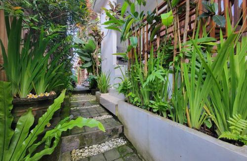 Peliatan House | Sun House