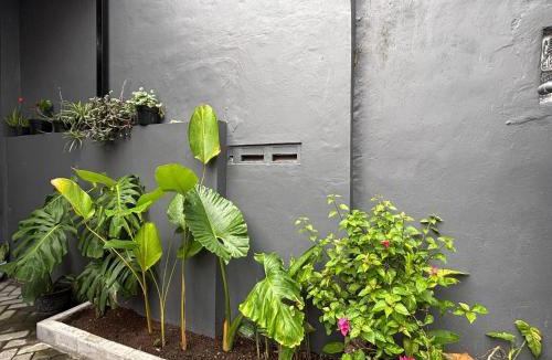 Sewon House | Secretspot Yogyakarta
