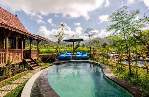 Sidemen House | Green labak 2