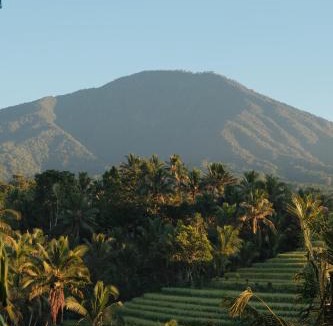 Penebel House | Saridevi Ecolodge