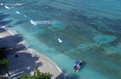 Sipura Island Hotel | AKUA VILLAS Mentawai
