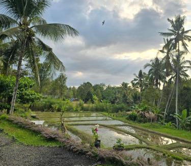 Munduk House | Gala Munduk