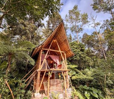 Susut Cabin | Alasari Hidden Bamboo Retreat in the Jungle