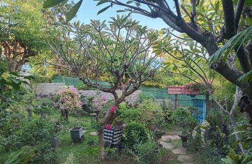 Amed House | Nyoman Guest House 1